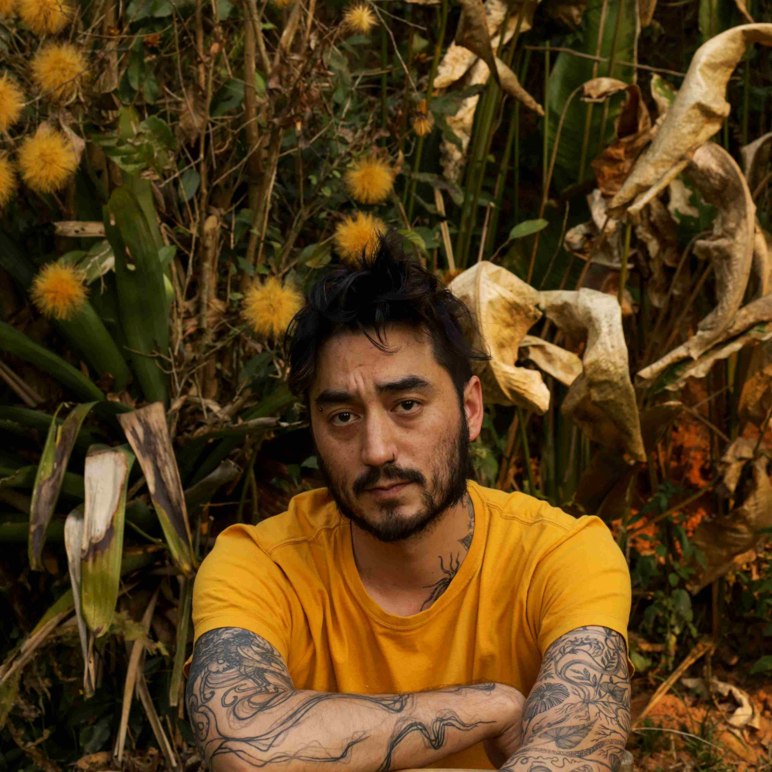 Fernando Aidar - Fernando Aidar